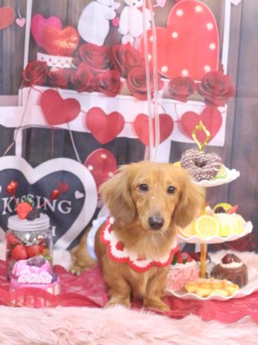 20250228レオくん